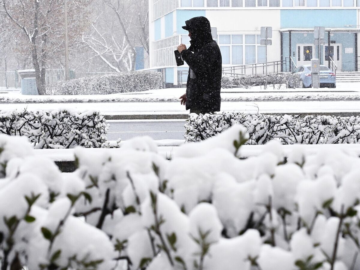    Мужчина во время снегопада в Москве | © РИА Новости / Михаил Воскресенский