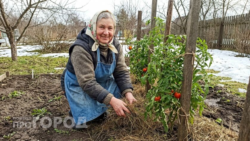   Фото ИИ Про Город