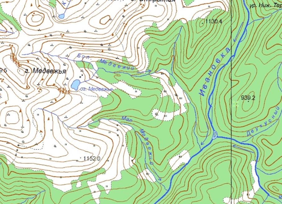 Ручей Большой Медвежий. Фрагмент карты, 2001г.