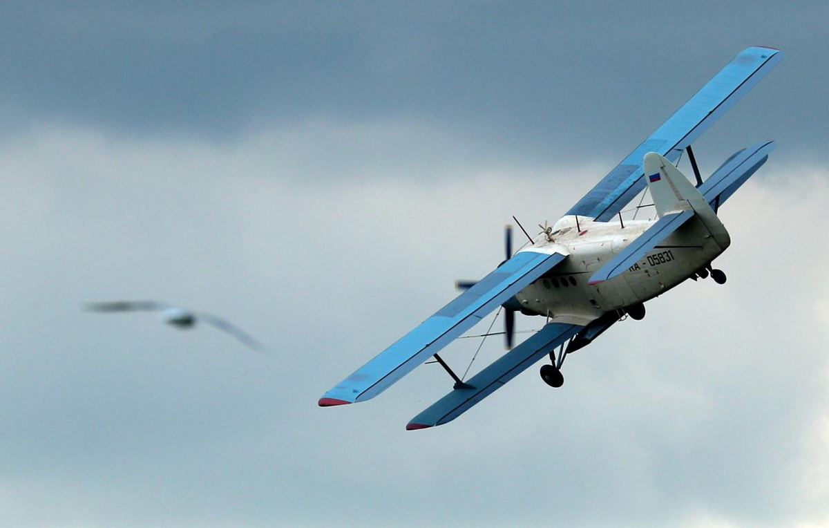 Ан-2. Фото из Яндекса. Спсибо автору. 