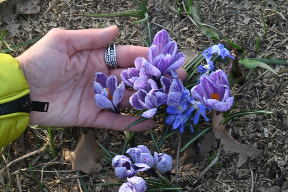    Осадков не предвидится, ветер умеренный с порывами. Владимир ВЕЛЕНГУРИН