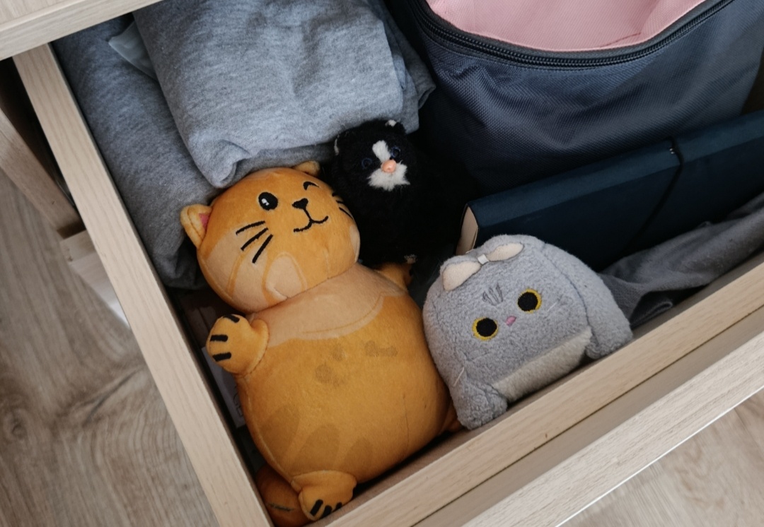 Мои котики для счастья, которых мне положил с собой в больницу младший сын.