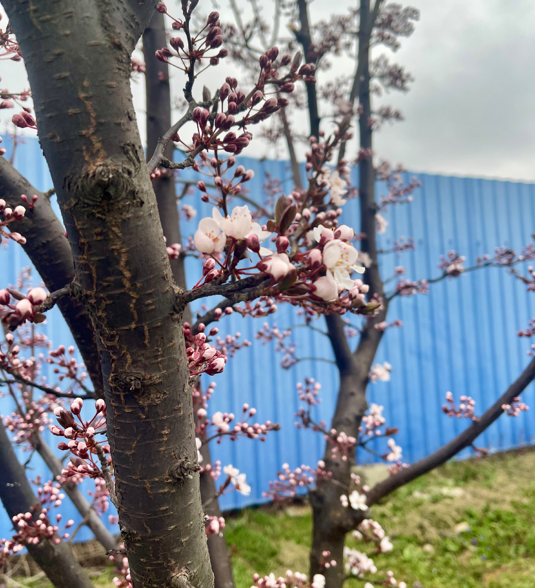 ЛИСТАЕМ ГАЛЕРЕЮ ⏩️⏩️⏩️