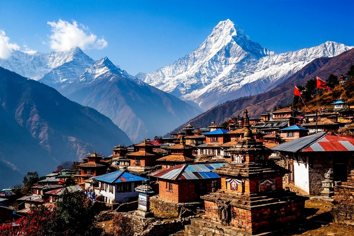    Фото: коллаж RuNews24.ru