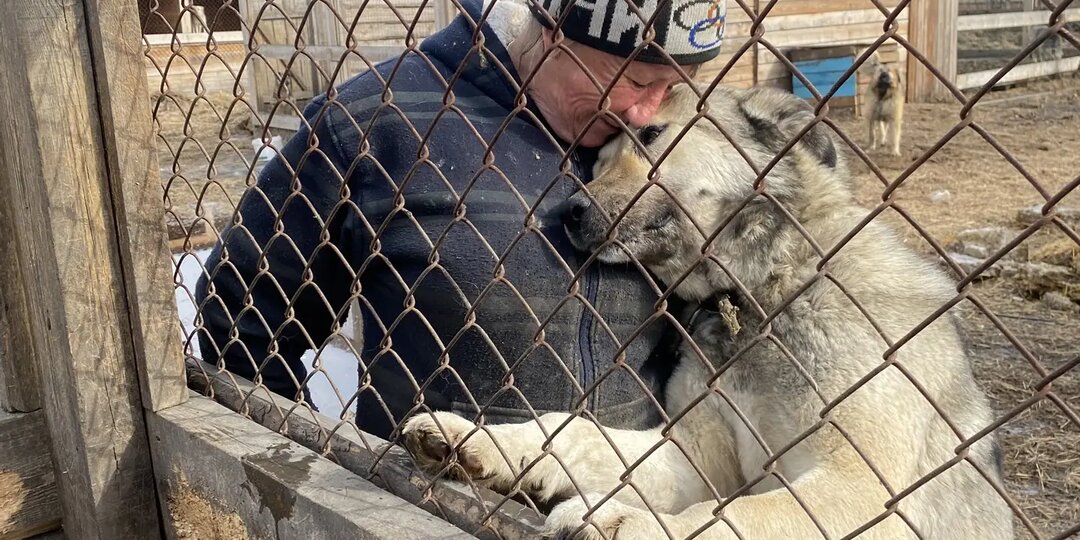 Приют очень нуждается в ВАШЕЙ помощи.