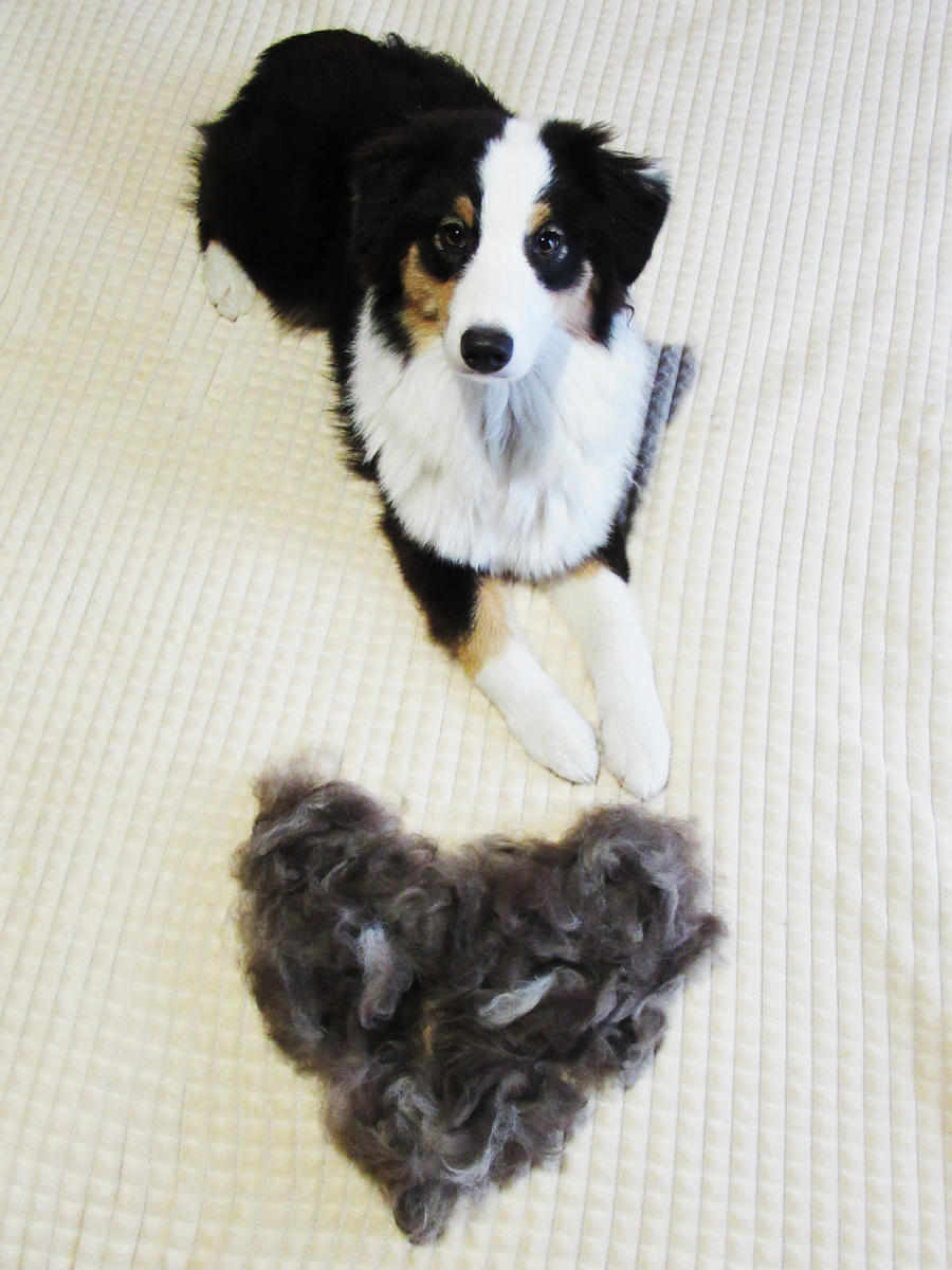 Линяют с любовью