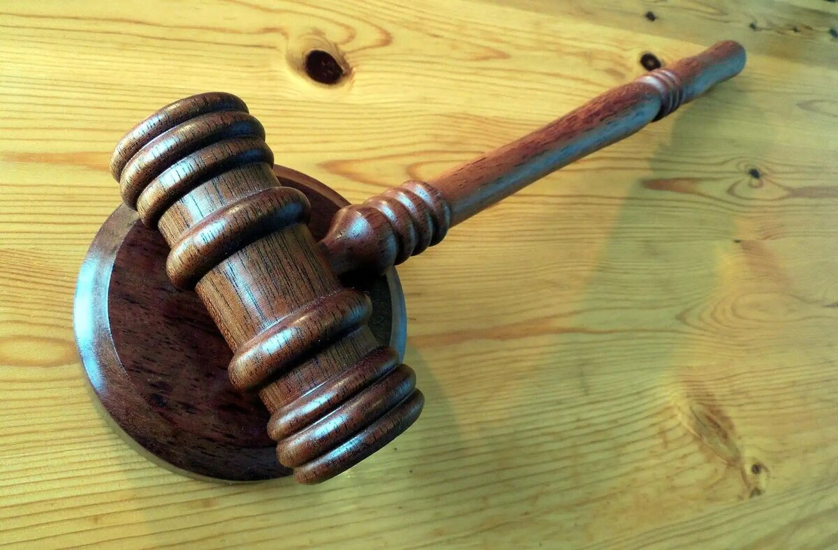 Фото: succo / pixabay.com