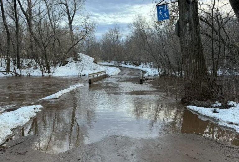    Под Оренбургом закрыли мост через реку Каргалку Оренбуржье