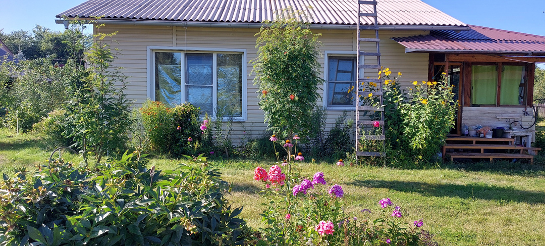 Собираемся на дачу. Мотивируем себя по летним картинкам