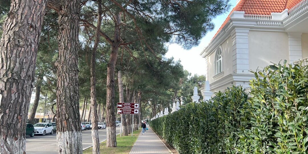 В Геленджике, а также на курортах Кубани 28 марта прогнозируют погоду с туманом и максимальной температурой +16°С