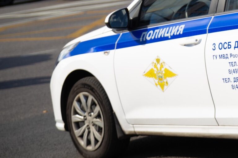    Фото: Общественная Служба Новостей Анастасия Мишкина