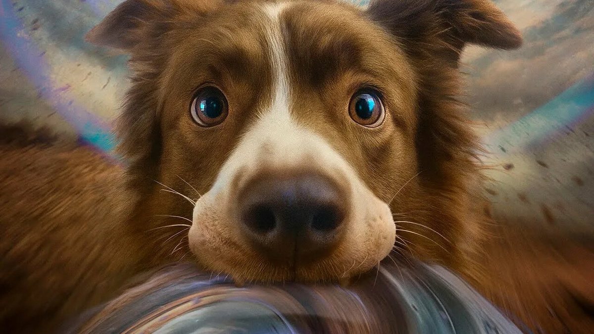    Кадр из к/ф: «Космическая собака Лида»