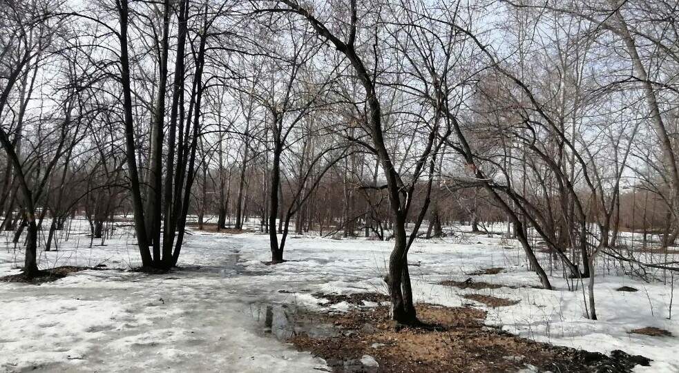 Весна в разгаре. Дела идут. Почему я ничем не могу помочь моей маме?