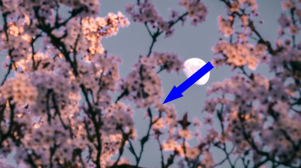    Готовьтесь к звездным ночам апреля 2026 года — все, что нужно для незабываемого наблюдения!