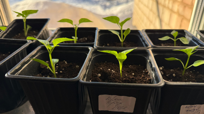    Фото из архива редакции