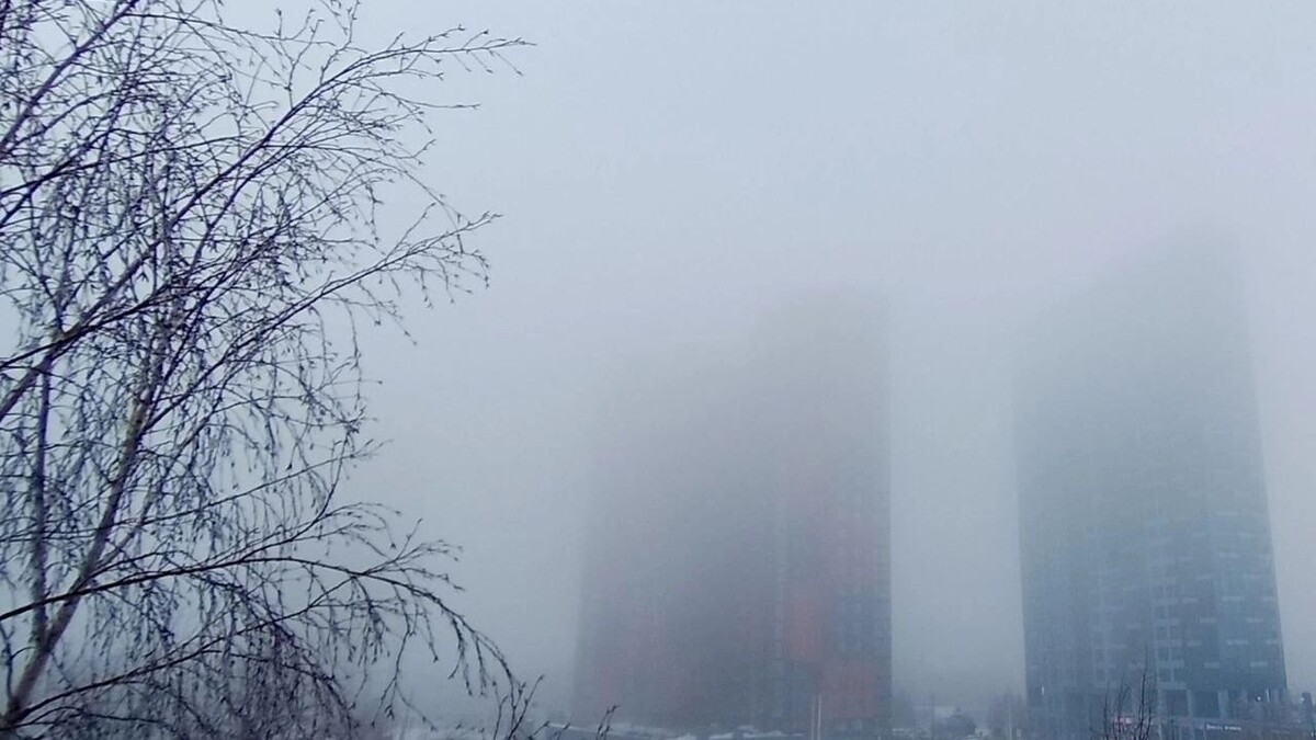    Туман полностью не рассеивается даже днем   соцсети