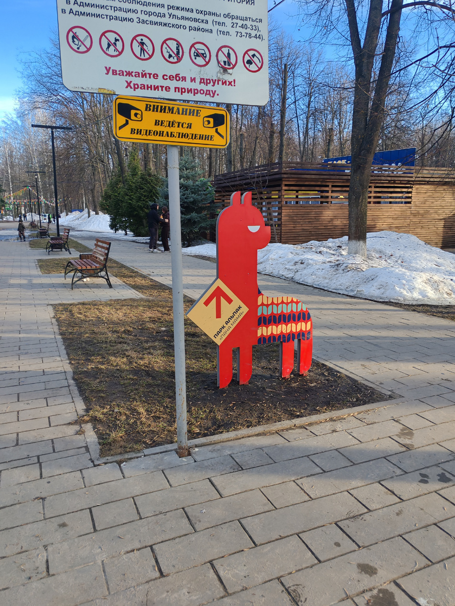 Парк альпак "Пача Мама". Фото автора 