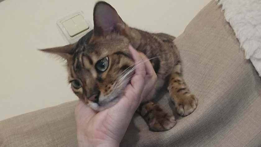    Фото Анастасии Дмитриевой