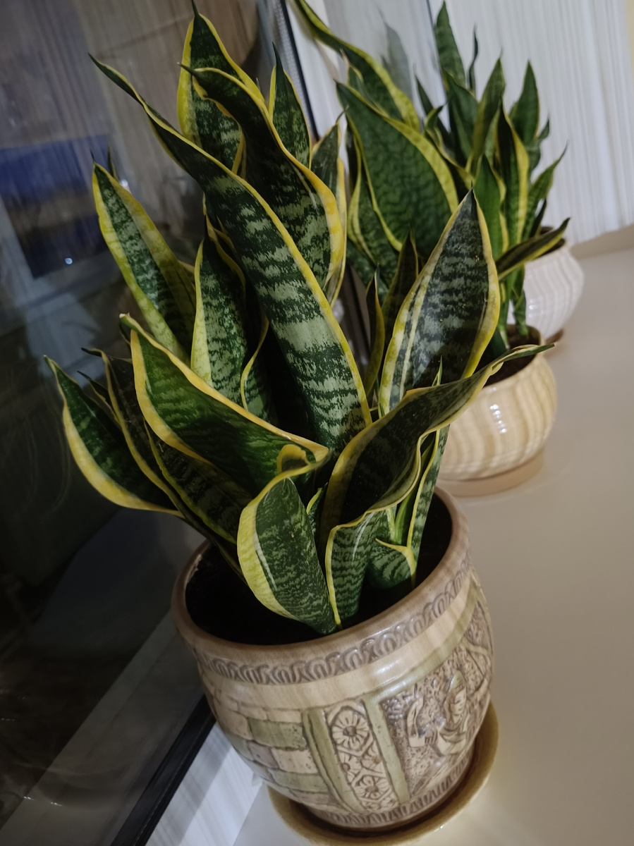 Хочется стабильности