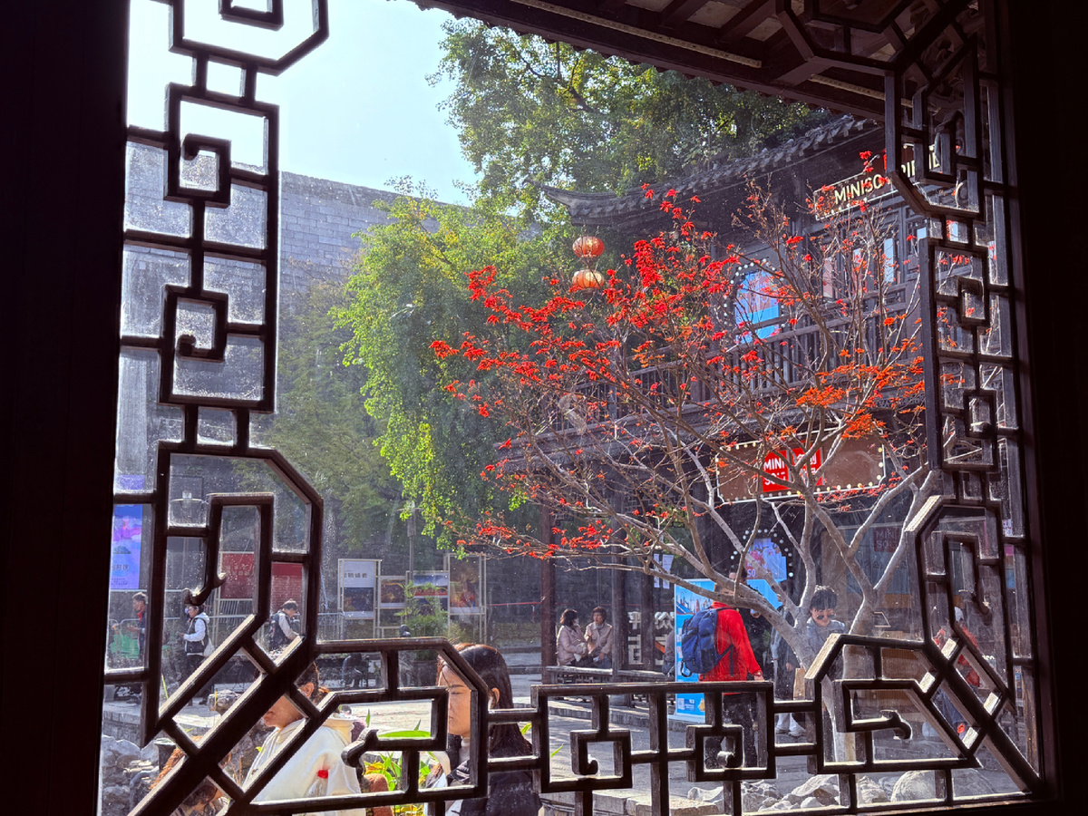 Фото автора канала Соло-путешествия