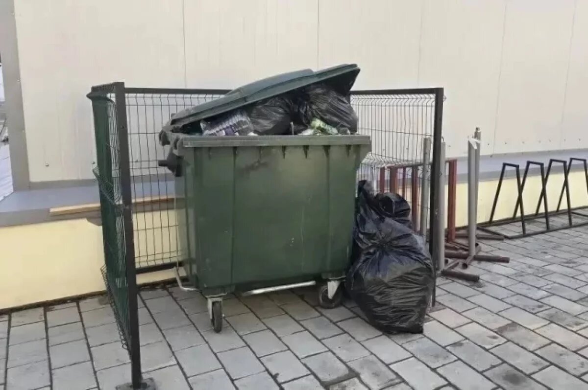    На Сахалине 3 тысяч металлических контейнеров заменят на евростандарт