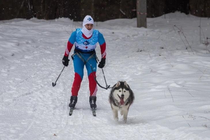 Прощай, лыжня: в парках Новосибирска официально закрывают зимний сезон