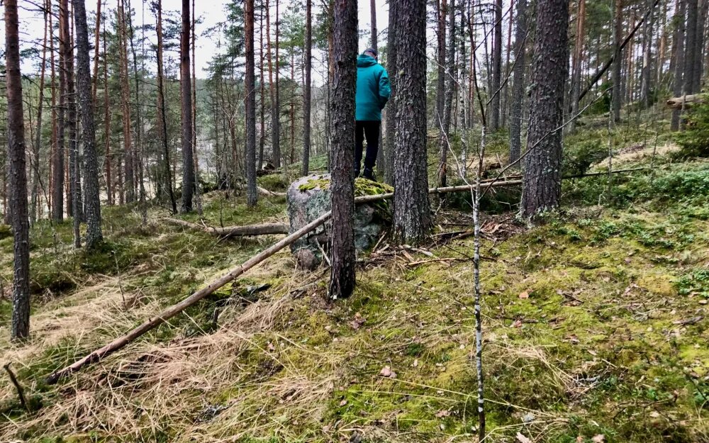    Фото: "Брянские новости"