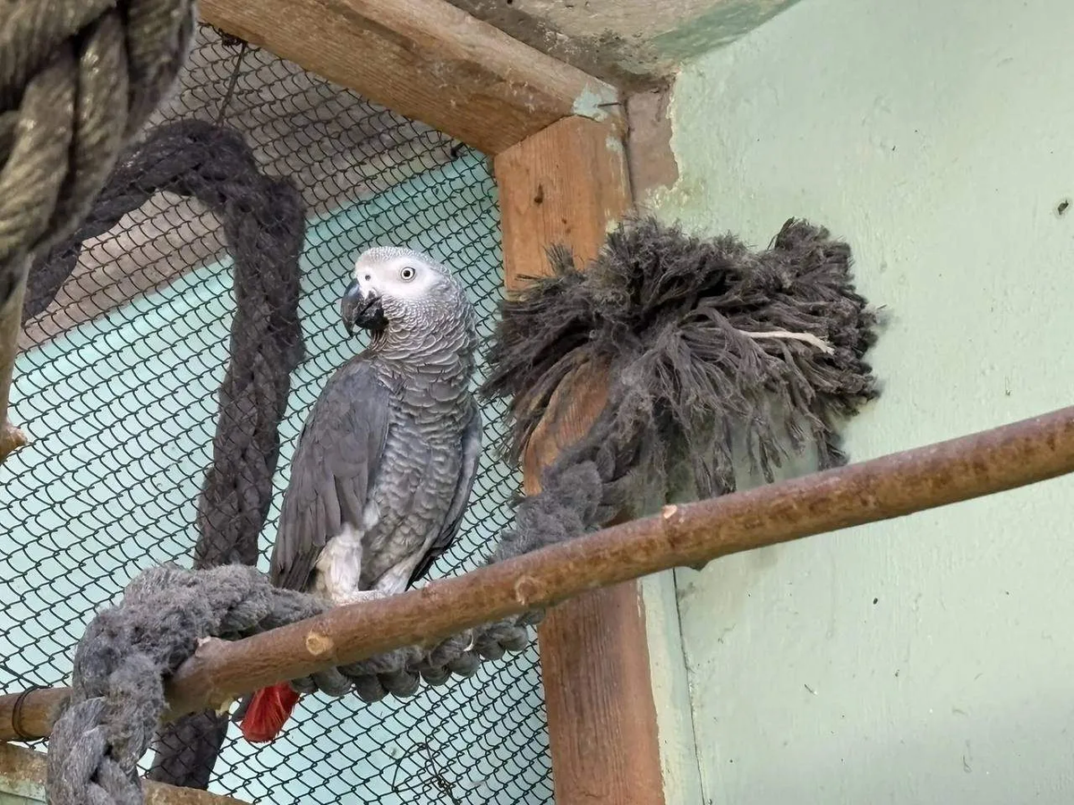 max.ru/Rosprirodnadzor_official