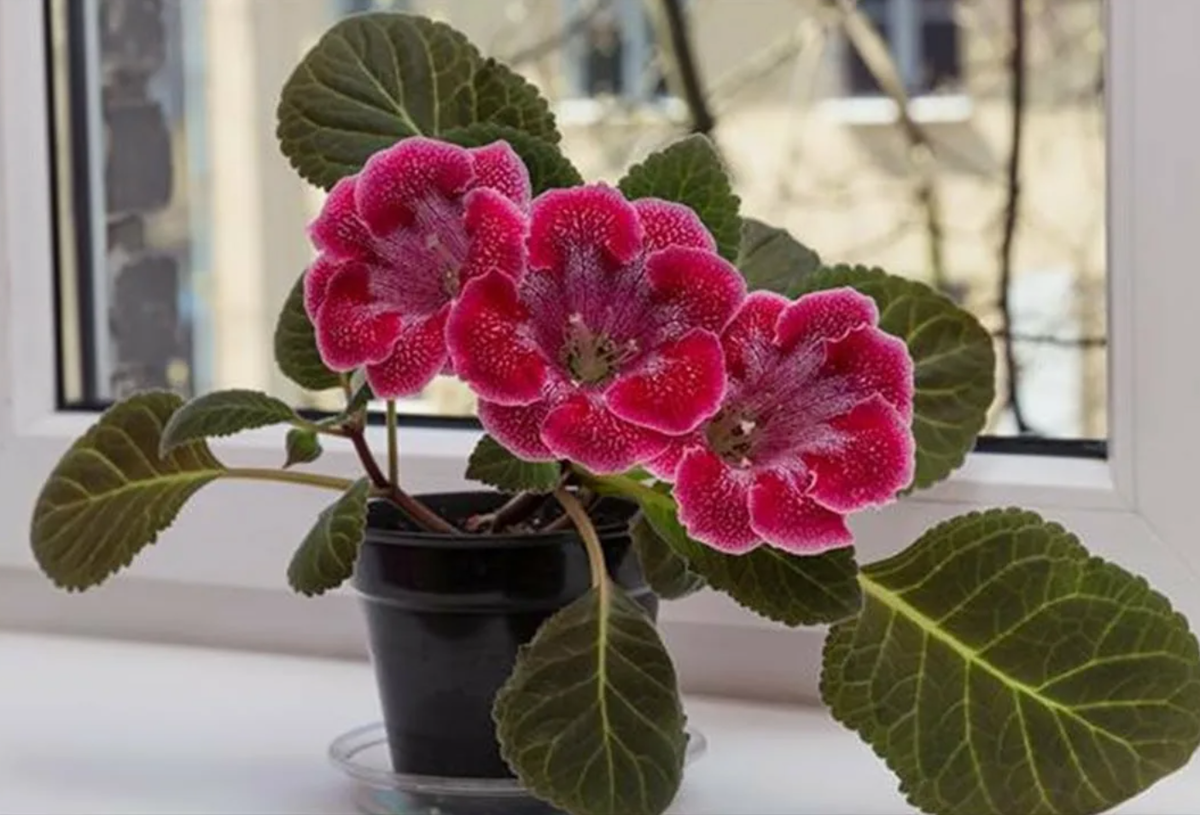 Источник фото: mst-stroi