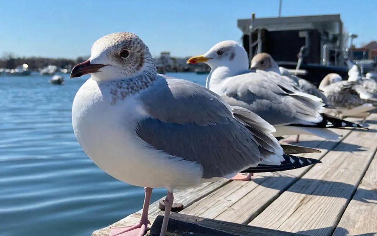   28 марта – особый день: народные приметы подскажут, как привлечь удачу