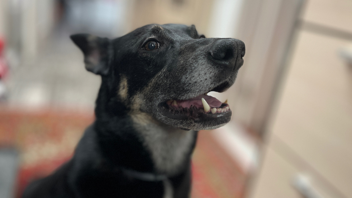 И я, конечно, в шоке от этой информации 🤯!