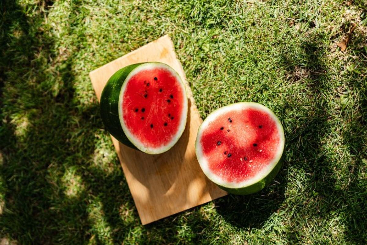 Фото с сайта: https://www.antaranews.com/berita/3805542/alasan-emoji-semangka-ramai-di-medsos-bentuk-dukungan-bagi-palestina