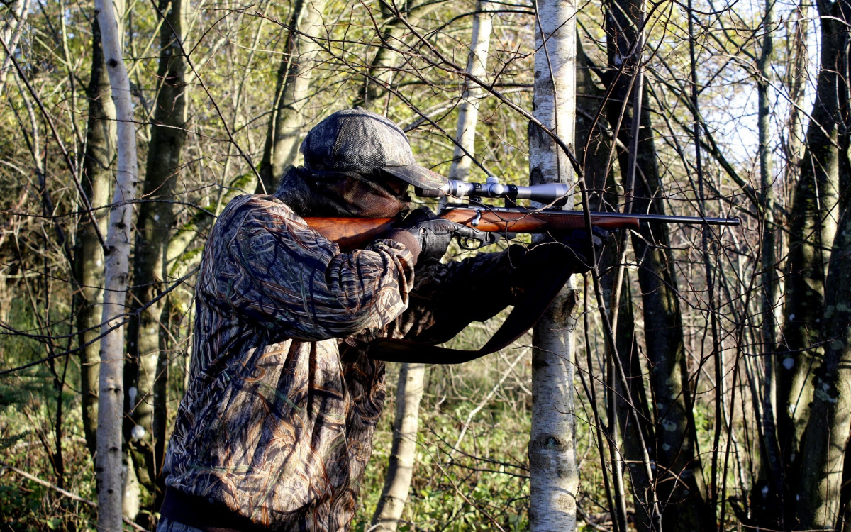    фото: Столица на Онего