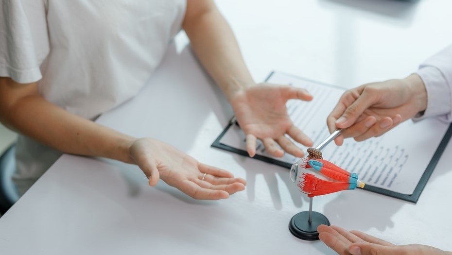    Автор фото: longwan / Shutterstock / FOTODOM