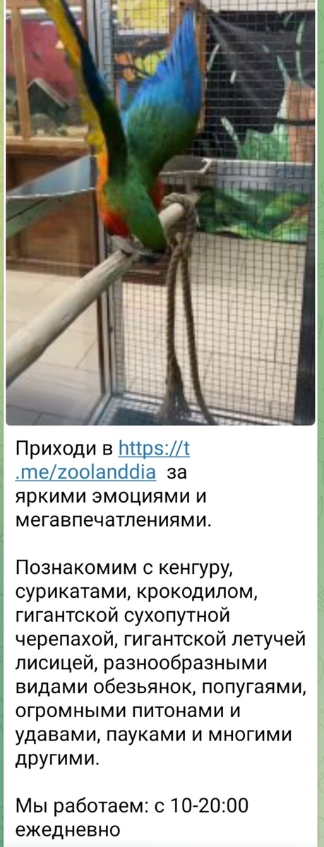 Скриншот рекламы