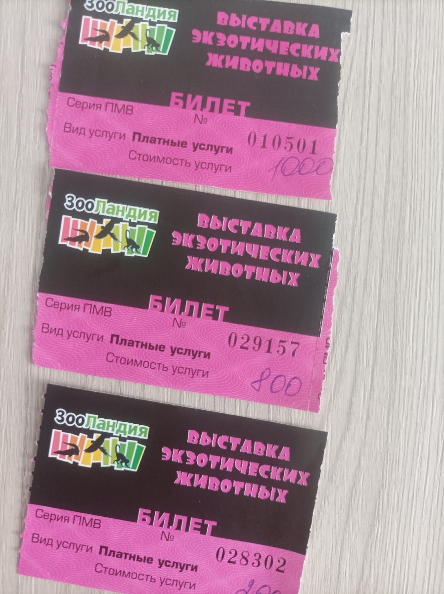 Наши билеты