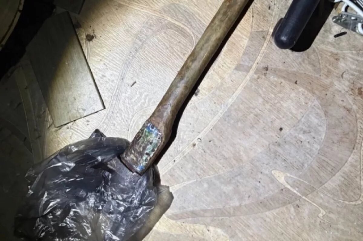    Гость 18 раз ударил обухом топора по хозяину дома в Томске