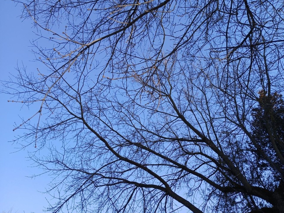    Работали силы ПВО.