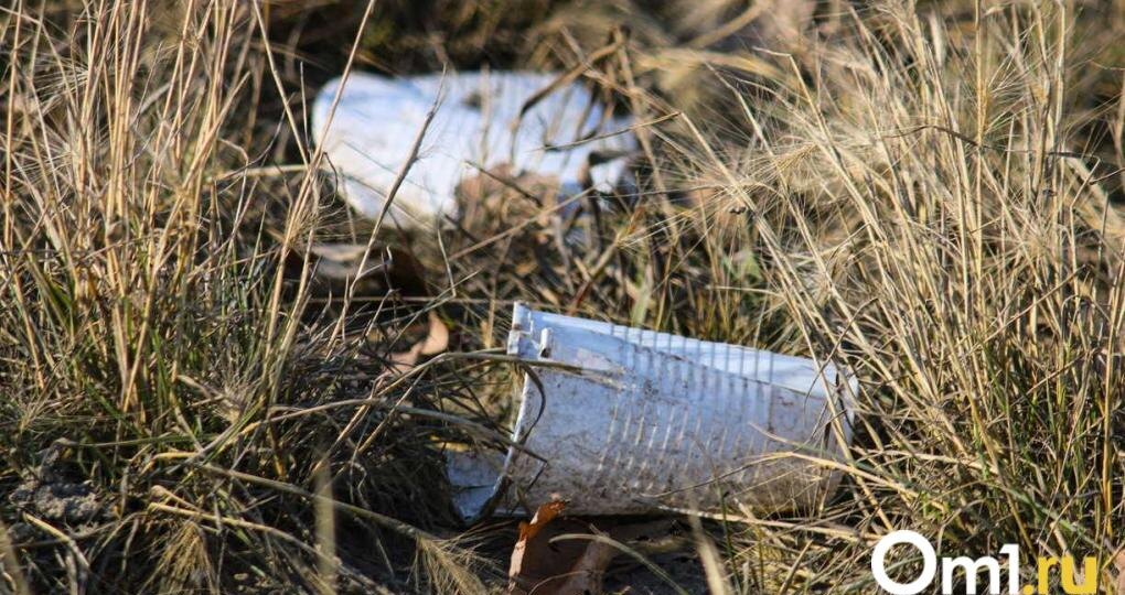 Стало известно, когда в Омской области пройдёт весенний субботник