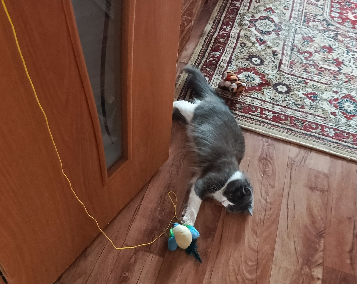 Фото автора