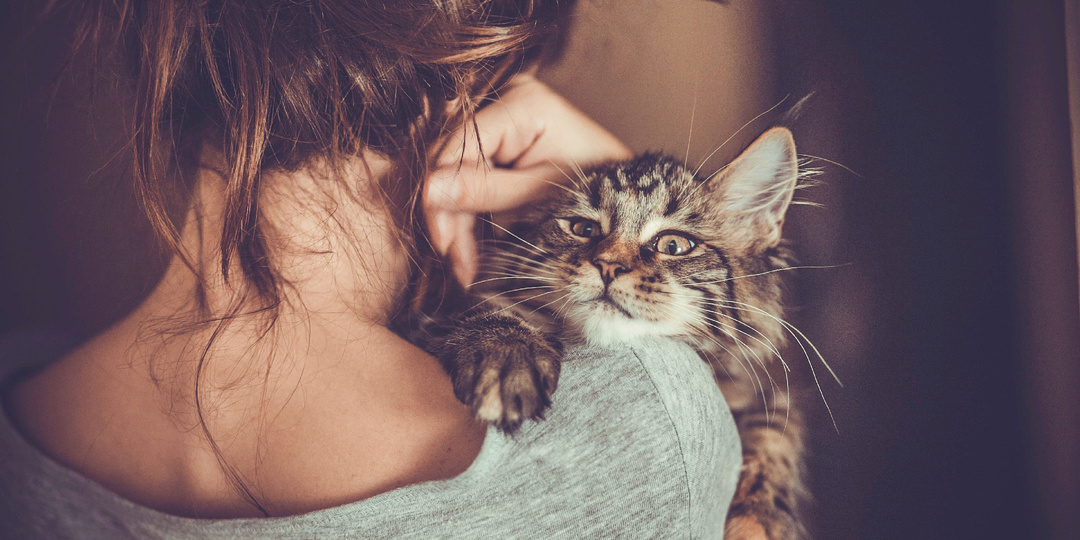 Абонент недоступен