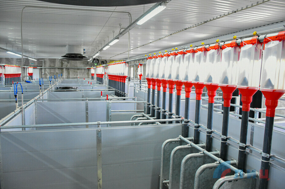    Фото: Агросфера