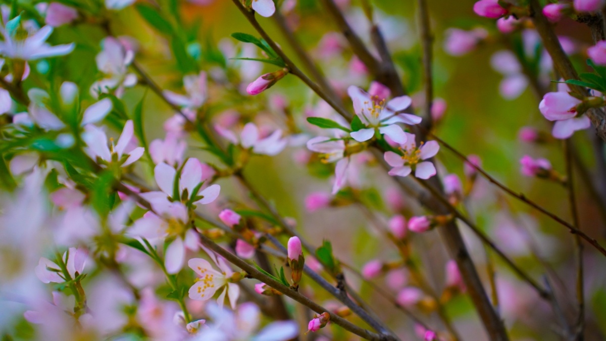 Светлана Мулыкина📷
