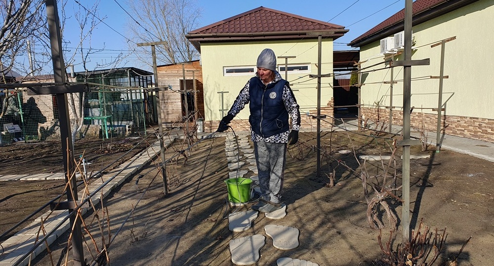 Я забыла что такое тля. Самую важную обработку делаю в марте. Опрыскайте кусты и деревья сейчас
