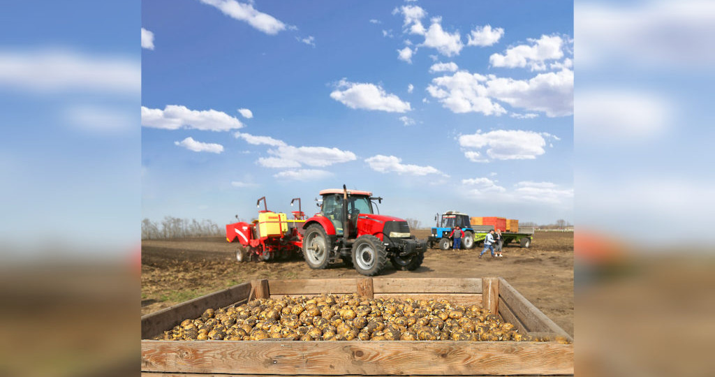 Четыре механизатора и… больше никого