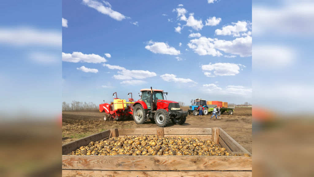    Картофелесажалка агрегат умный. Фото Архипа Ларченко. Владимир Головенко