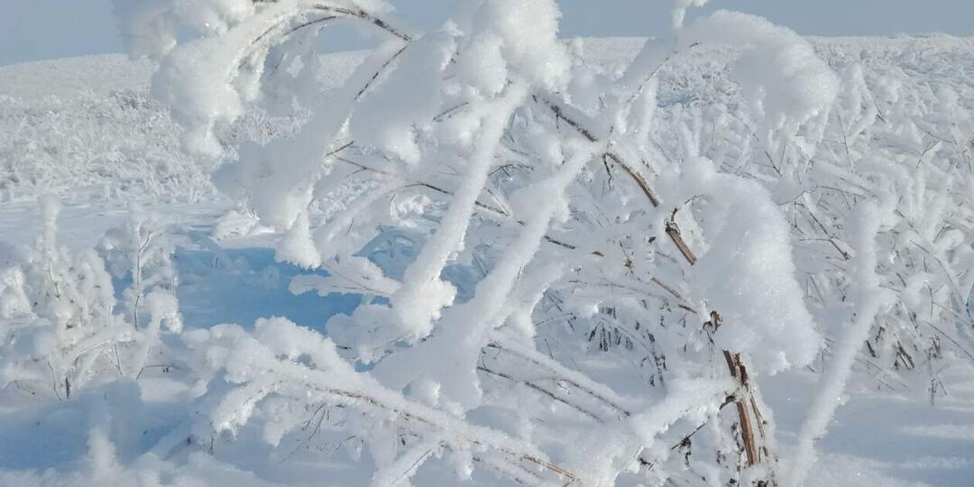 Бабушка по вызову