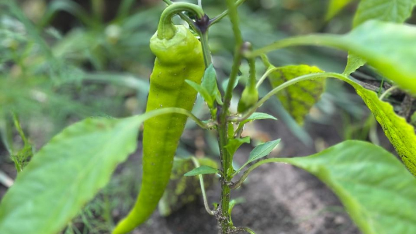    фото smilekaluga.ru