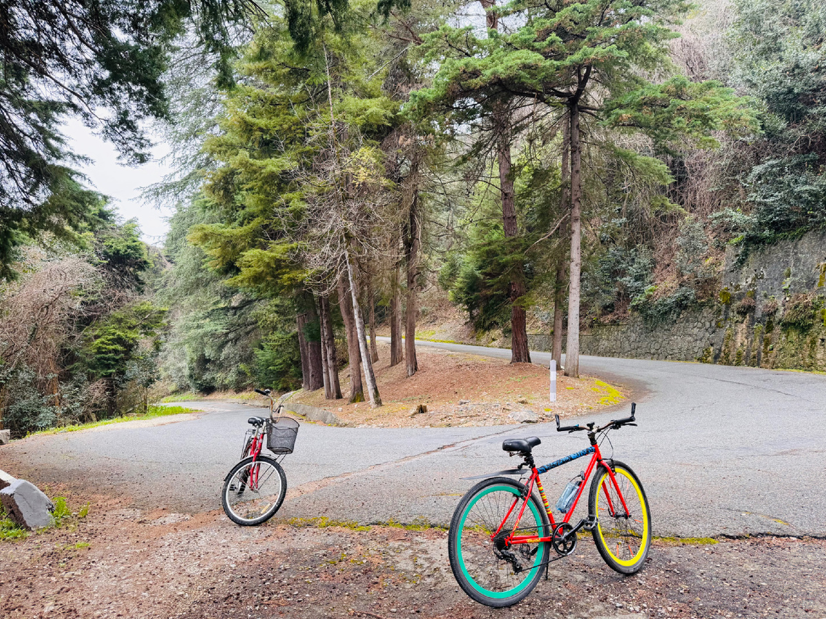 Серпантин дороги