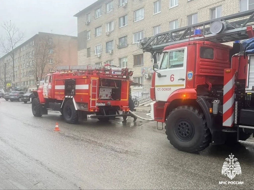     Фото: пресс-служба МЧС России по Белгородской области